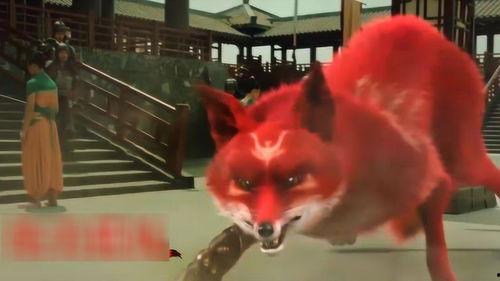 双生赤狐,探寻神秘传说与奇幻世界的交织