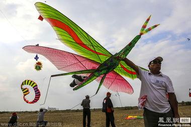 风筝 2014