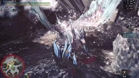 邮购怪兽,揭秘全球邮购市场的奇迹与挑战