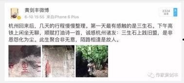 相逢是陌路,一段缘分的悲歌